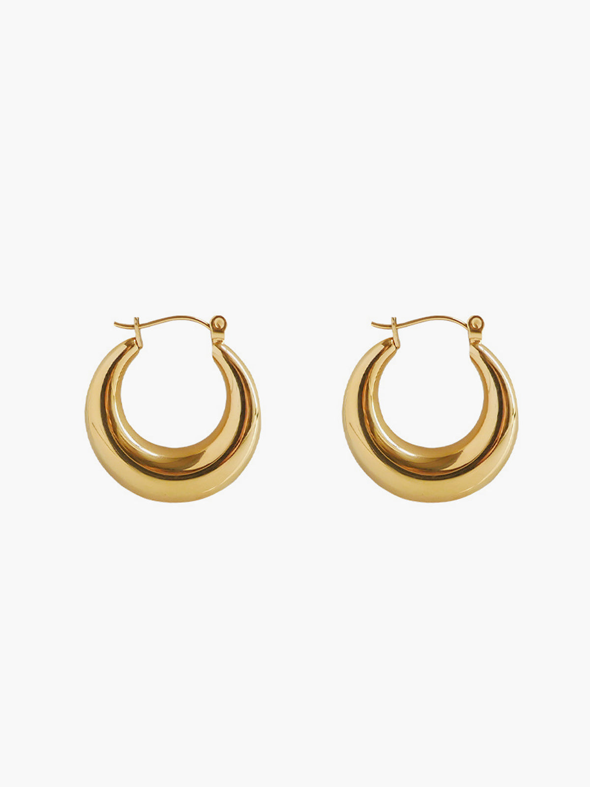 Lustrous Hoop Earrings