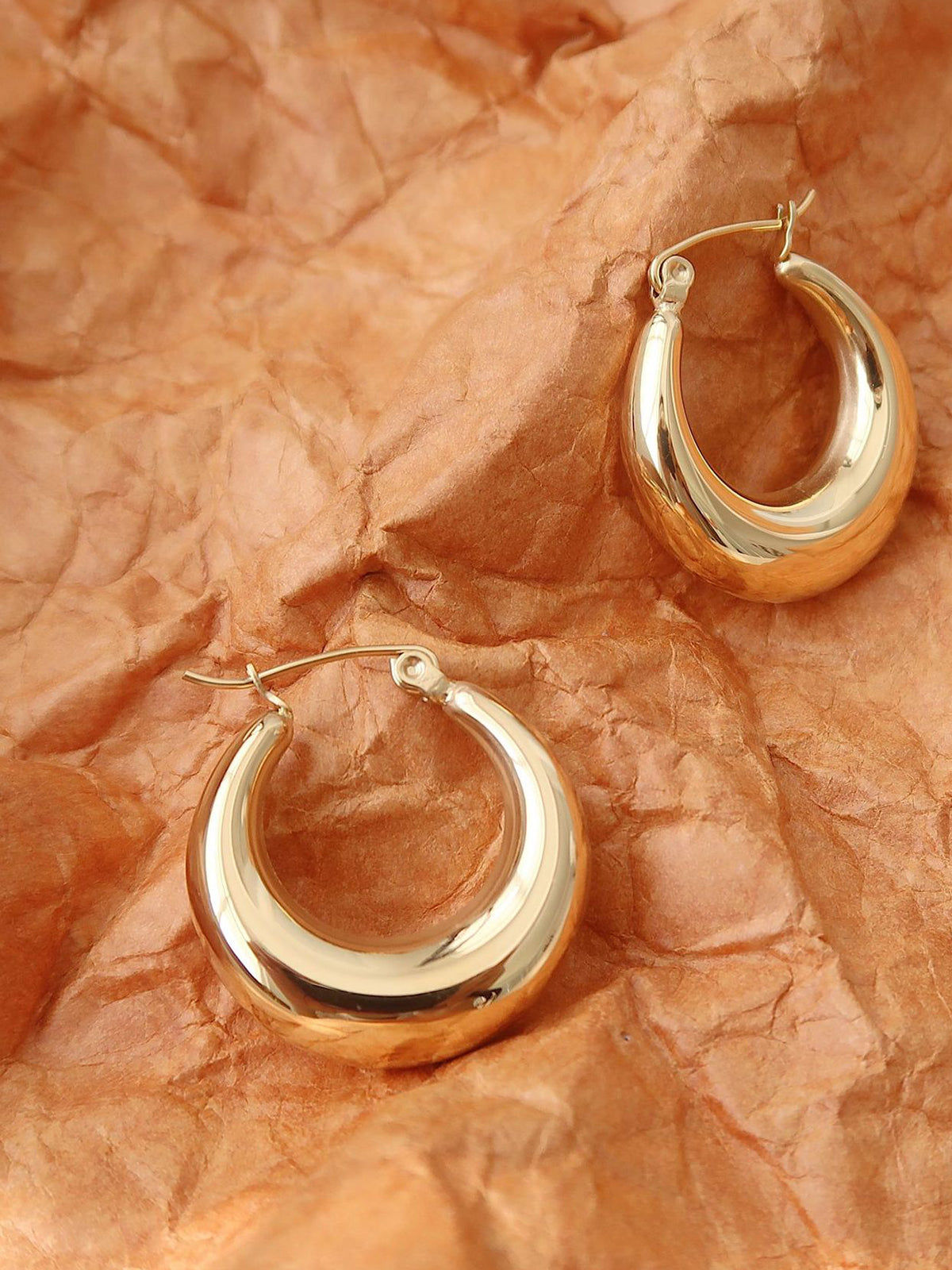 Lustrous Hoop Earrings